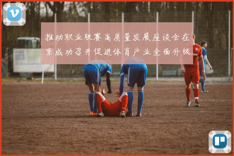 推动职业联赛高质量发展座谈会在京成功召开促进体育产业全面升级与创新发展